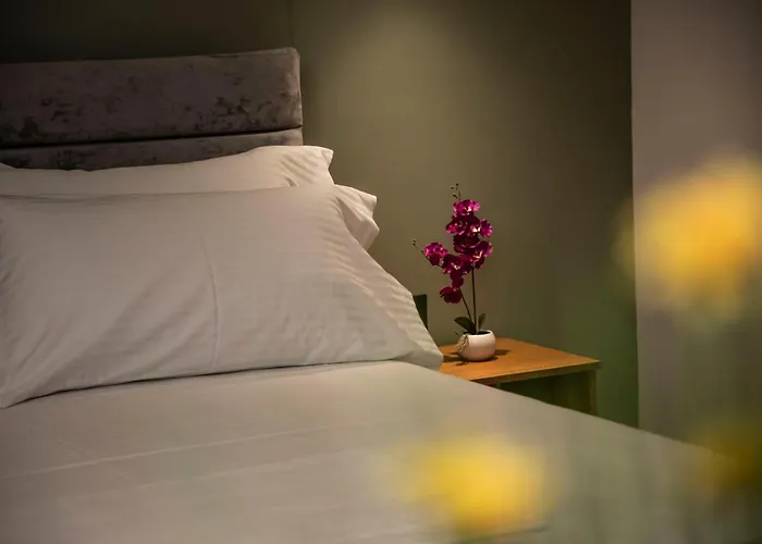 Claus Hotel 5*